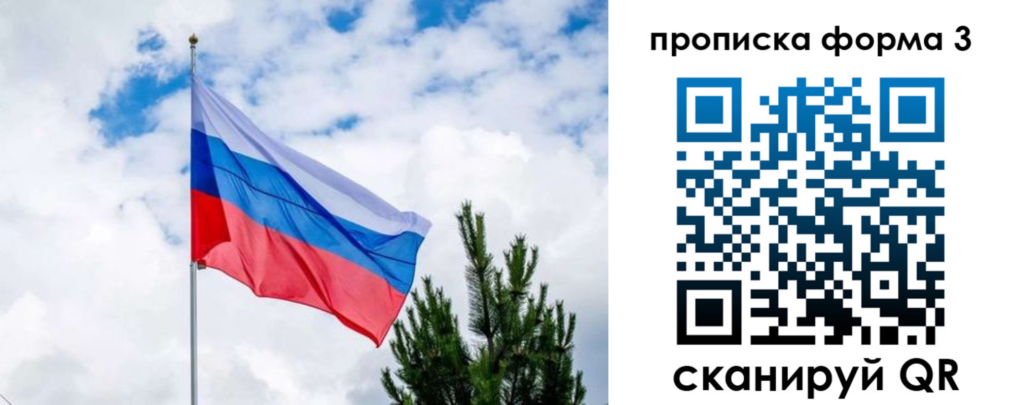 прописка для школы в Иваново
